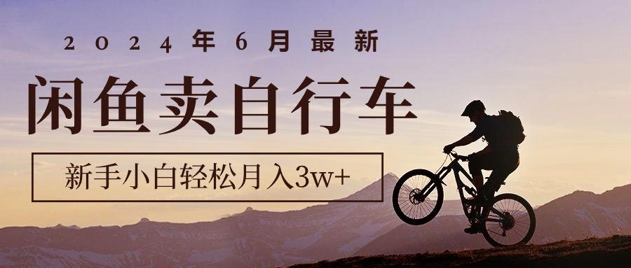 2024年6月最新闲鱼卖自行车，新手小白轻松月入3w+项目-蚂蚁汇资源分享项目网