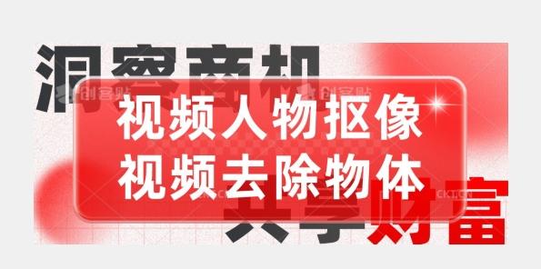【超强视频处理工具】视频人物抠像+视频去除物体-蚂蚁汇资源分享项目网