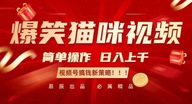 爆笑猫咪视频：简单操作，日入过K，视频号搞钱新策略【揭秘】-蚂蚁汇资源分享项目网