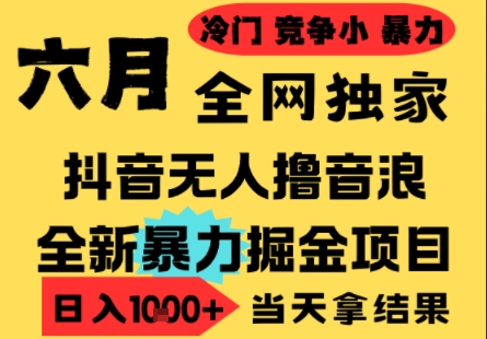 25年6月高爆抖音无人直播最新撸音浪掘金项目，小白可做，无脑日入1k+，门槛低可批量矩阵【揭秘】-蚂蚁汇资源分享项目网