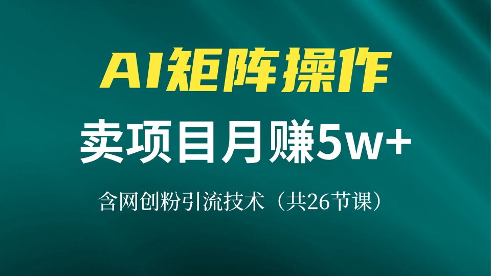 网创IP打造课，借助AI卖项目月赚5万+，含引流技术(共26节课-蚂蚁汇资源分享项目网