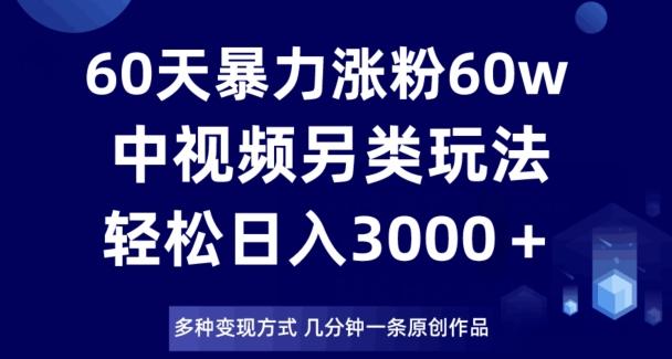 60天暴力涨粉60W，中视频另类玩法，日入3000＋，几分钟一条原创作品多种变现方式-蚂蚁汇资源分享项目网