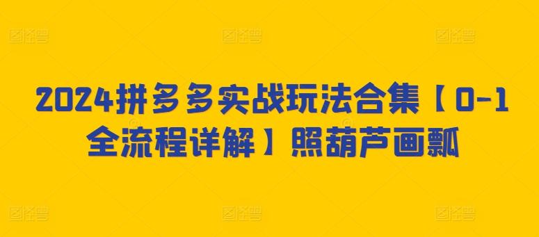 2024拼多多实战玩法合集【0-1全流程详解】照葫芦画瓢-蚂蚁汇资源分享项目网