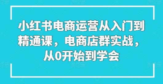 小红书电商运营从入门到精通课，电商店群实战，从0开始到学会-蚂蚁汇资源分享项目网