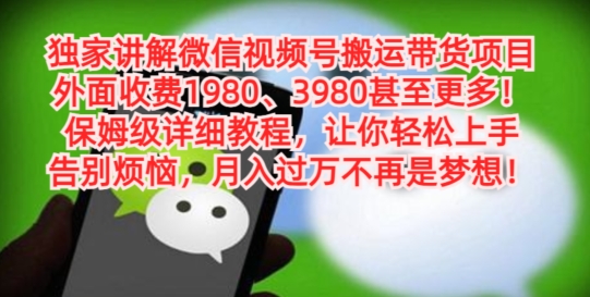 独家讲解微信视频号搬运带货项目，保姆级详细教程-蚂蚁汇资源分享项目网
