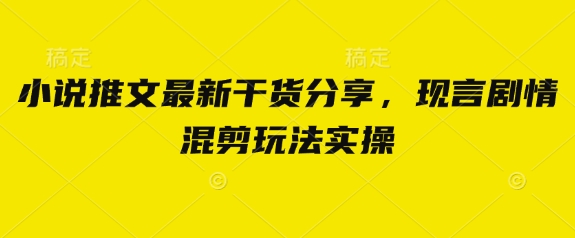 小说推文最新干货分享，现言剧情混剪玩法实操-蚂蚁汇资源分享项目网