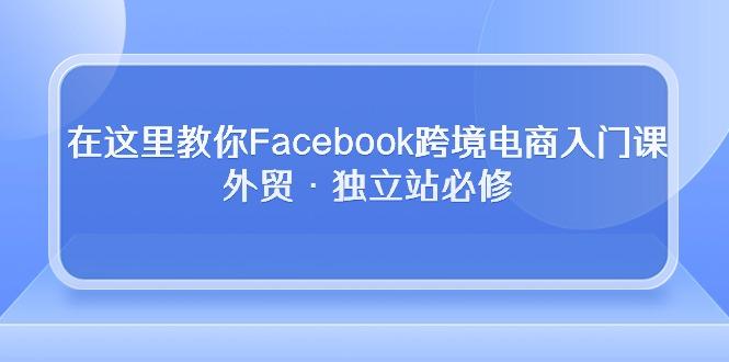在这里教你Facebook跨境电商入门课，外贸·独立站必修-蚂蚁汇资源分享项目网