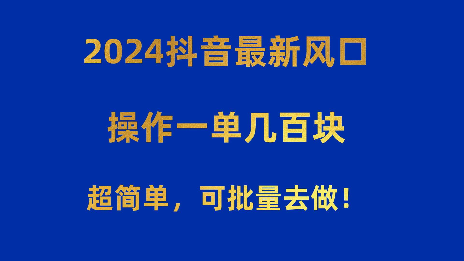 2024抖音最新风口！操作一单几百块！超简单，可批量去做！！！-蚂蚁汇资源分享项目网