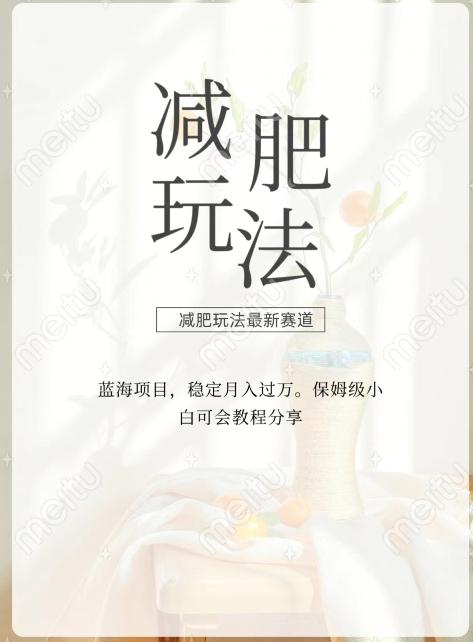 减肥流量主新玩法，轻松月入1W，可矩阵操作收入翻倍-蚂蚁汇资源分享项目网