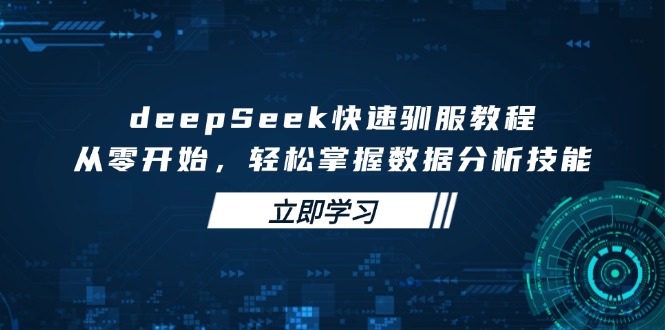 deepSeek快速驯服教程，从零开始，轻松掌握数据分析技能-蚂蚁汇资源分享项目网