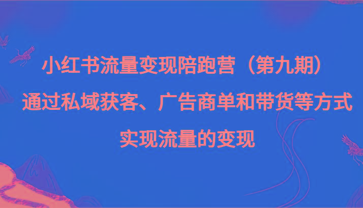 小红书流量变现陪跑营（第九期）通过私域获客、广告商单和带货等方式实现流量变现-蚂蚁汇资源分享项目网