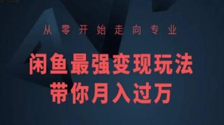 从零开始走向专业，闲鱼最强变现玩法带你月入过万-蚂蚁汇资源分享项目网