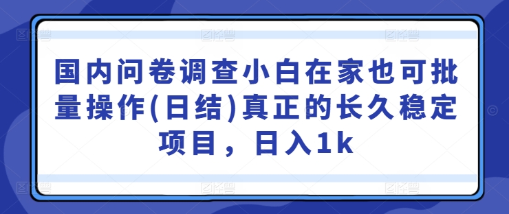 国内问卷调查小白在家也可批量操作(日结)真正的长久稳定项目，日入1k【揭秘】-蚂蚁汇资源分享项目网