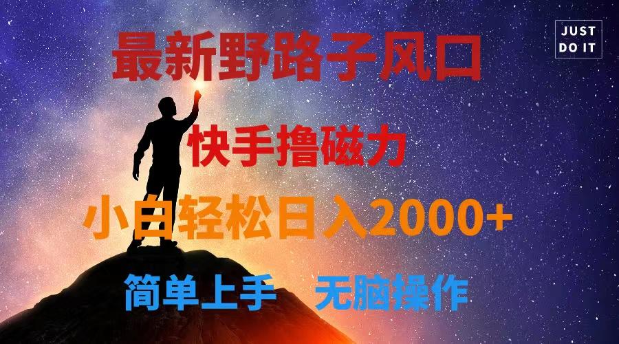最新风口！快手撸磁力，野路子，小白无脑操作日入2000+-蚂蚁汇资源分享项目网
