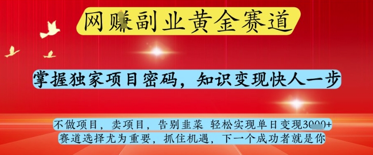 网创副业黄全赛道，掌握独家项目密码，知识变现快人一步，告别韭菜轻松实现单日变现1k+【揭秘】-蚂蚁汇资源分享项目网