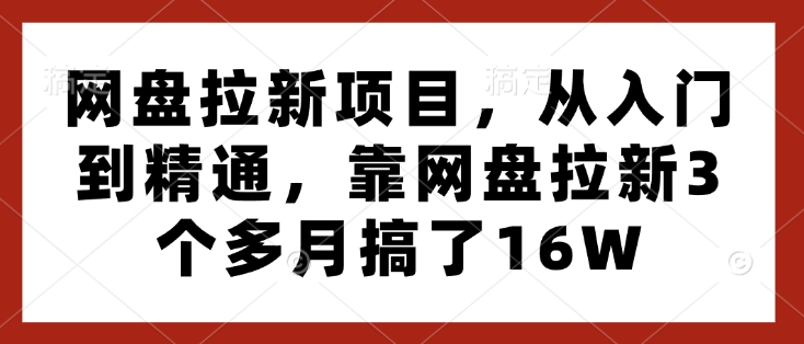 网盘拉新项目，从入门到精通，靠网盘拉新3个多月搞了16W-蚂蚁汇资源分享项目网
