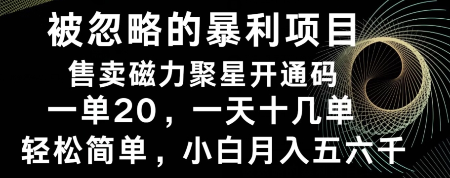被忽略的暴利项目！售卖磁力聚星开通码，一单20，一天十几单，轻松月入五六千-蚂蚁汇资源分享项目网