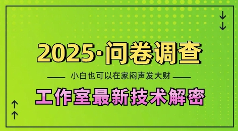 2025问卷调查最新工作室技术解密：一个人在家也可以闷声发大财，小白一天2张，可矩阵放大【揭秘】-蚂蚁汇资源分享项目网