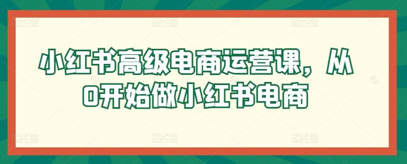 小红书高级电商运营课，从0开始做小红书电商-蚂蚁汇资源分享项目网