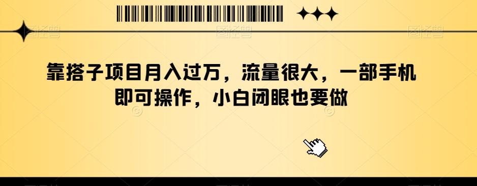 靠搭子项目月入过万，流量很大，一部手机即可操作，小白闭眼也要做-蚂蚁汇资源分享项目网