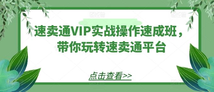 速卖通VIP实战操作速成班，带你玩转速卖通平台-蚂蚁汇资源分享项目网