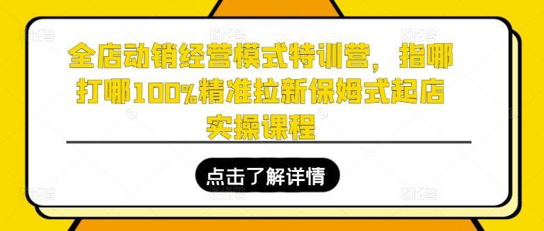 全店动销经营模式特训营，指哪打哪100%精准拉新保姆式起店实操课程-蚂蚁汇资源分享项目网