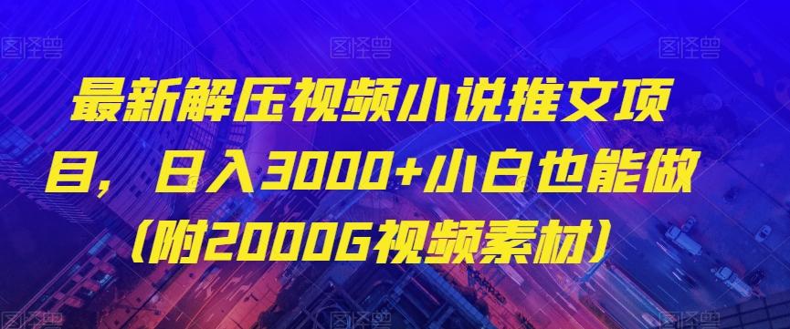 最新解压视频小说推文项目，日入3000+小白也能做（附2000G视频素材）【揭秘】-蚂蚁汇资源分享项目网