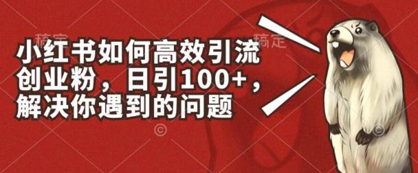 小红书如何高效引流创业粉，日引100+，解决你遇到的问题【揭秘】-蚂蚁汇资源分享项目网