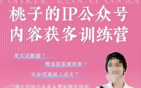 桃子IP公众号内容获客训练营(第3期)，一门让你公众号从0到商业闭环的课程-蚂蚁汇资源分享项目网