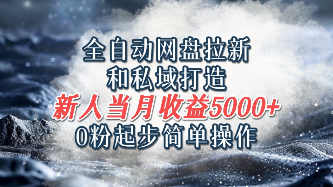 全自动网盘拉新和私域打造，0粉起步简单操作，新人入门当月收益5000以上-蚂蚁汇资源分享项目网