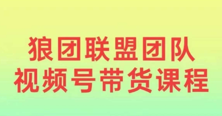 狼团联盟2024视频号带货，0基础小白快速入局视频号-蚂蚁汇资源分享项目网