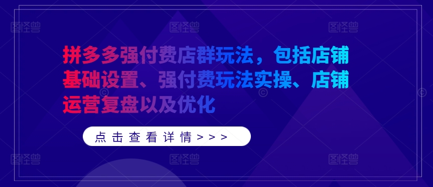 拼多多强付费店群玩法，包括店铺基础设置、强付费玩法实操、店铺运营复盘以及优化-蚂蚁汇资源分享项目网