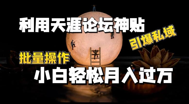 利用天涯论坛神贴，引爆私域，批量操作，小白轻松月入过w【揭秘】-蚂蚁汇资源分享项目网