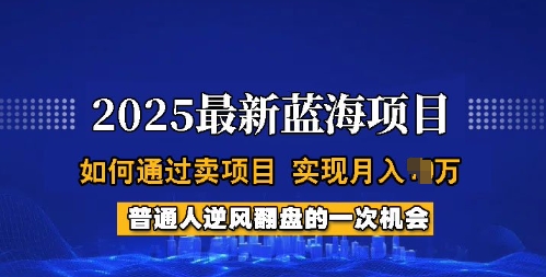 2025蓝海项目，普通人如何通过卖项目，实现月入过W，全过程【揭秘】-蚂蚁汇资源分享项目网