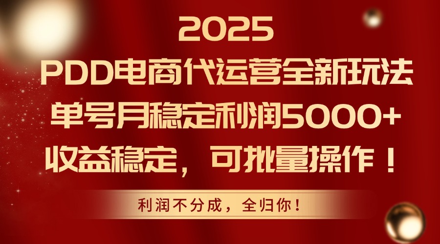 2025PDD电商代运营全新玩法，单号月稳定利润5000+，收益稳定，可批量操作-蚂蚁汇资源分享项目网