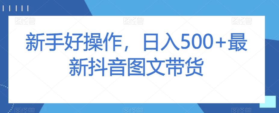 新手好操作，日入500+最新抖音图文带货【揭秘】-蚂蚁汇资源分享项目网