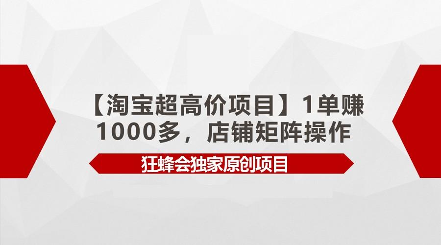 【淘宝超高价项目】1单赚1000多，店铺矩阵操作-蚂蚁汇资源分享项目网