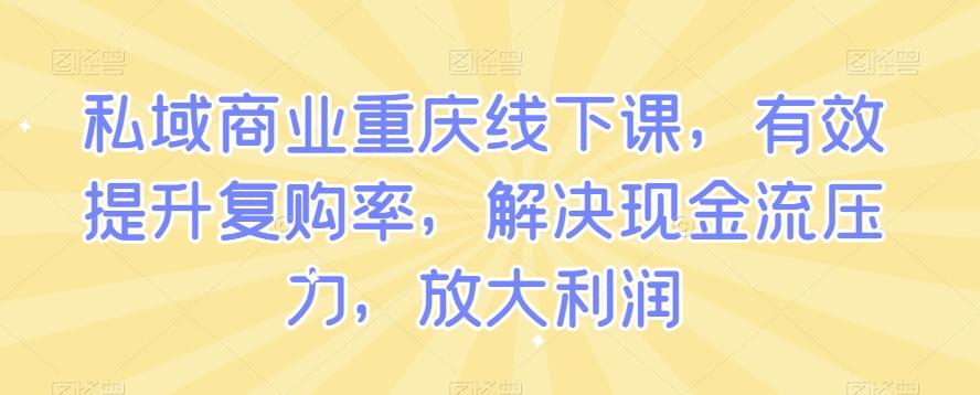 私域商业重庆线下课，有效提升复购率，解决现金流压力，放大利润-蚂蚁汇资源分享项目网