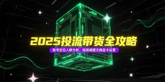 2025投流带货全攻略，账号定位人群分析，短视频图文商品卡运营-蚂蚁汇资源分享项目网