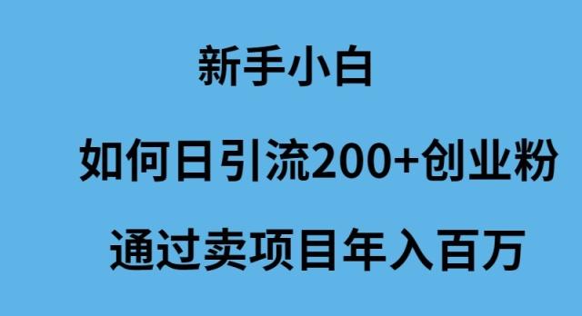 (9668期)新手小白如何日引流200+创业粉通过卖项目年入百万-蚂蚁汇资源分享项目网