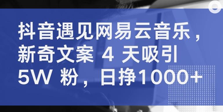 抖音遇见网易云音乐，新奇文案 4 天吸引 5W 粉，日挣1000+【揭秘】-蚂蚁汇资源分享项目网