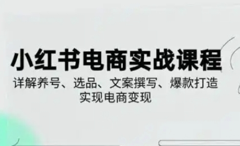 小红书从0-1实操课(2023-2025)，详解养号、选品、文案撰写、爆款打造实现电商变现-蚂蚁汇资源分享项目网