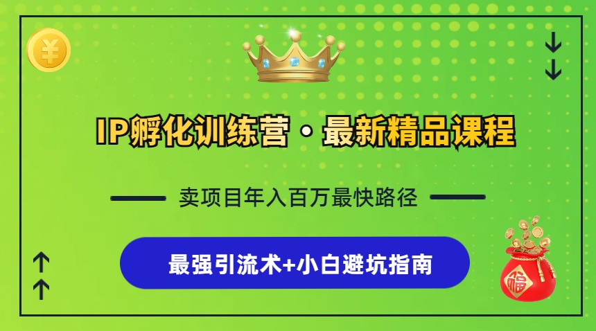 IP孵化训练营，知识付费全流程+最强引流术+小白避坑指南-蚂蚁汇资源分享项目网