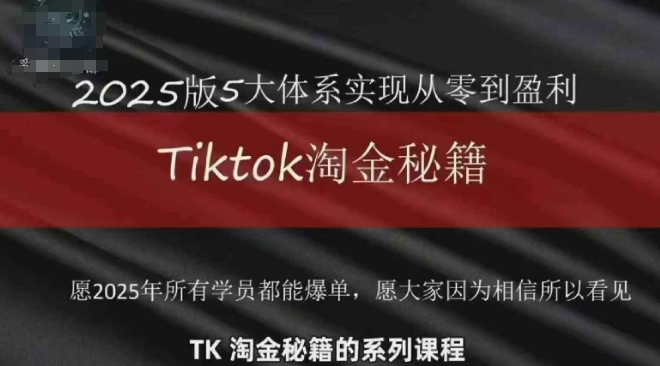 TikTok跨境2025淘金秘籍，​2025TikTok从0到盈利变现-蚂蚁汇资源分享项目网