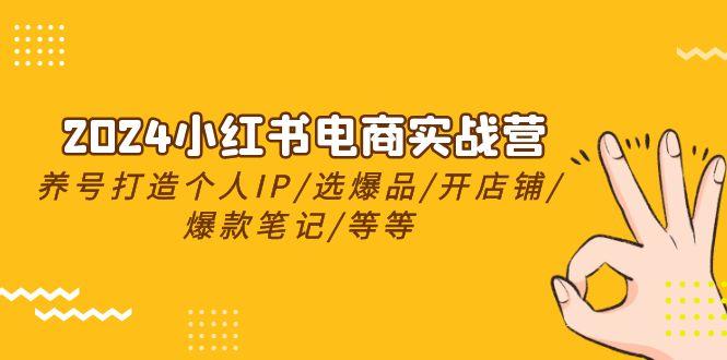 2024小红书电商实战营，养号打造IP/选爆品/开店铺/爆款笔记/等等(24节)-蚂蚁汇资源分享项目网