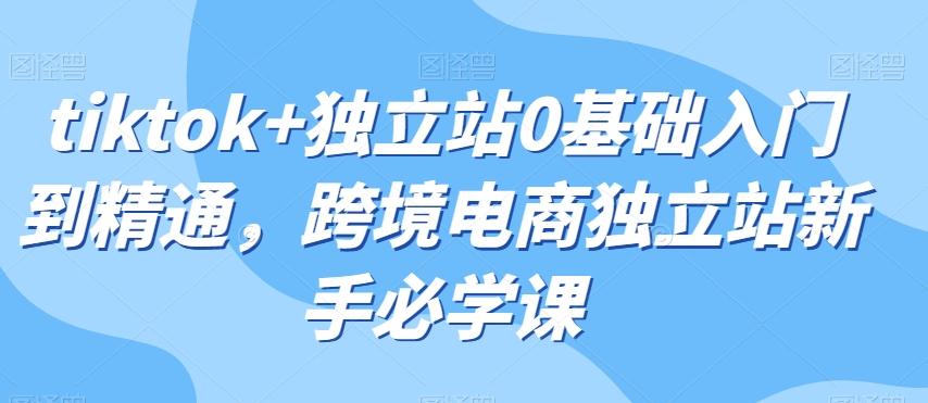 tiktok+独立站0基础入门到精通，跨境电商独立站新手必学课-蚂蚁汇资源分享项目网