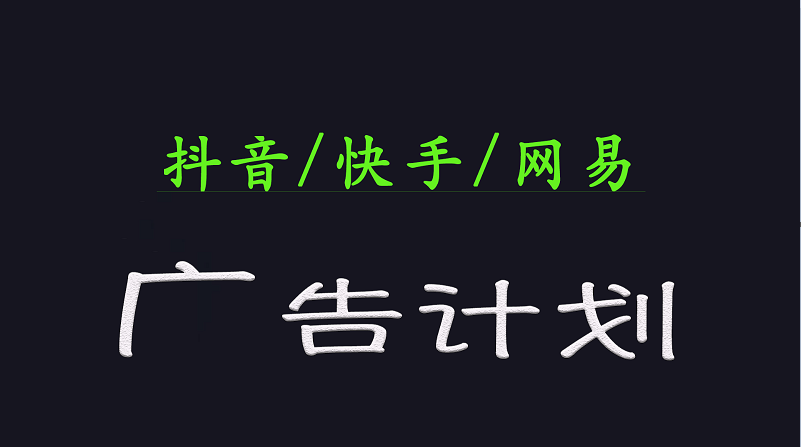 2025短视频平台运营与变现广告计划日入1000+，小白轻松上手-蚂蚁汇资源分享项目网