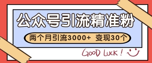 公众号精准粉引流玩法，2个月3000+精准粉，变现30个W【揭秘】-蚂蚁汇资源分享项目网
