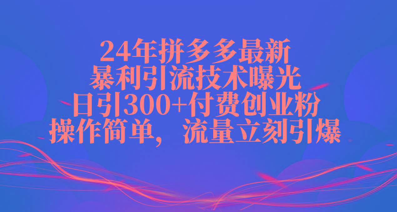 24年拼多多最新暴利引流技术曝光，日引300+付费创业粉，操作简单，流量…-蚂蚁汇资源分享项目网