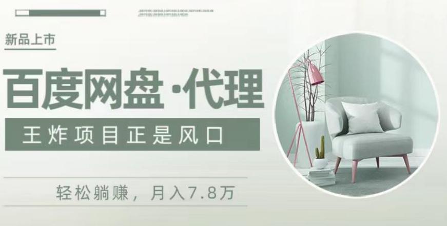 度盘代理，月入7w保姆级全方位教程-蚂蚁汇资源分享项目网